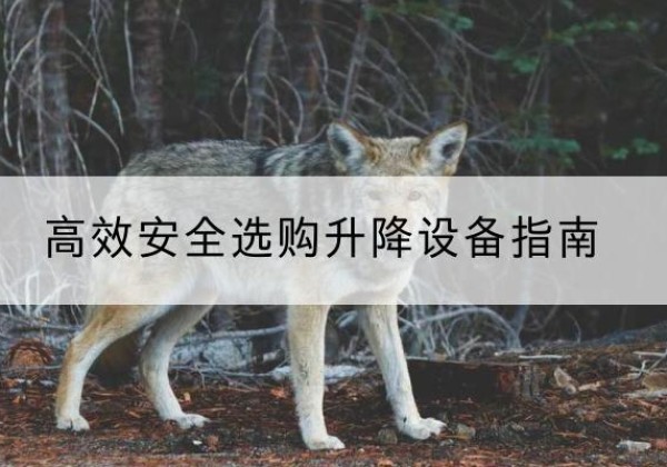 双阳升降货梯厂家推荐-*安全选购升降设备指南