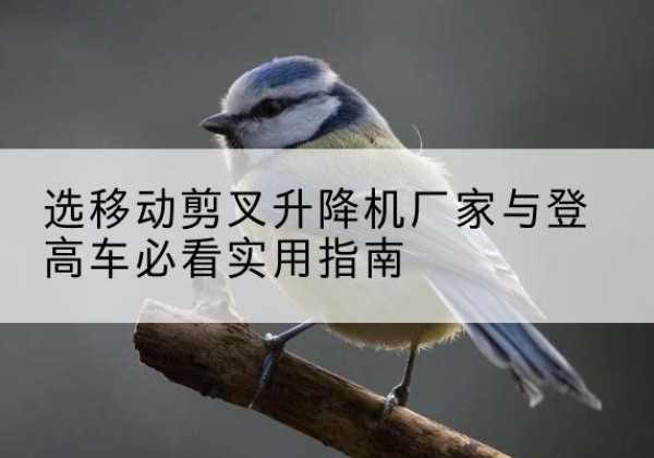 双阳电动升降机厂家-选移动剪叉升降机厂家与登高车必看实用指南