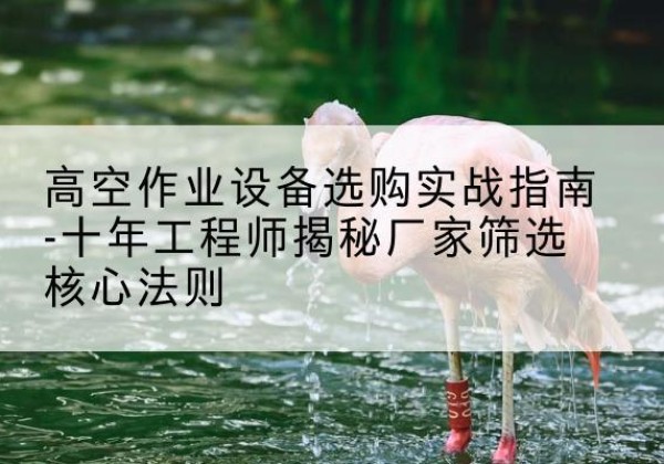 双阳剪叉式升降机厂家-高空作业设备选购实战指南-十年工程师揭秘厂家筛选核心法则